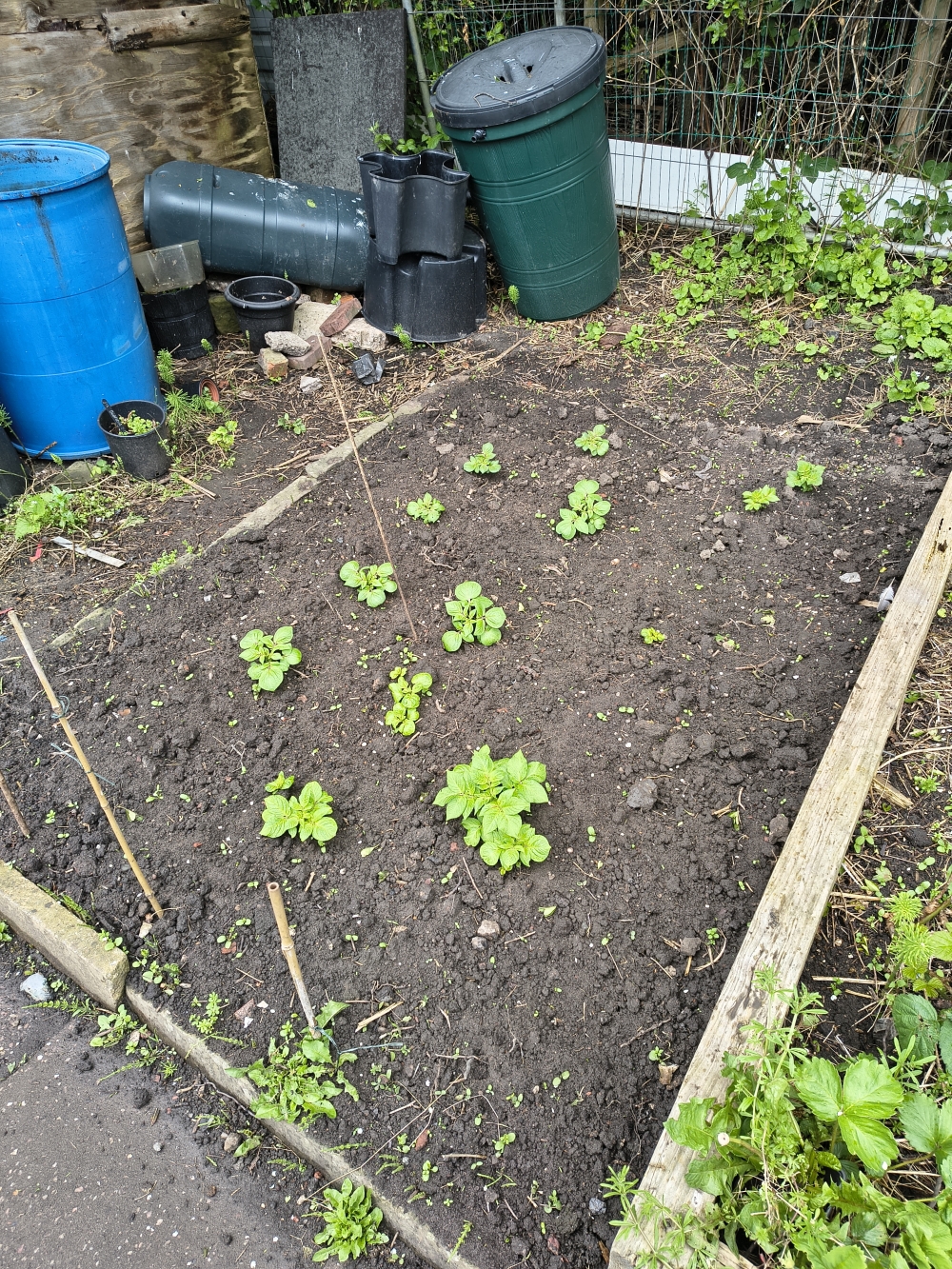 The plants are now obvious.